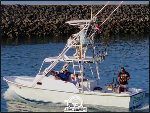 The Predator 28' Shamrock