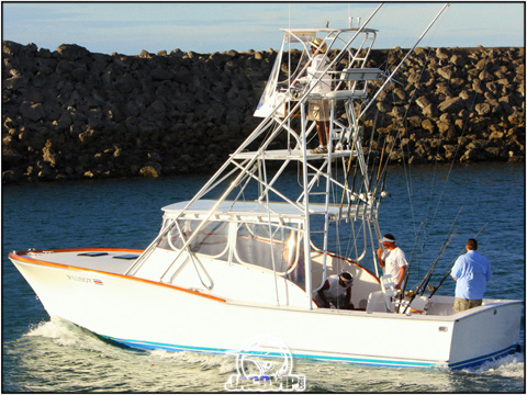 Sunny 1 Maverick sportfishing
