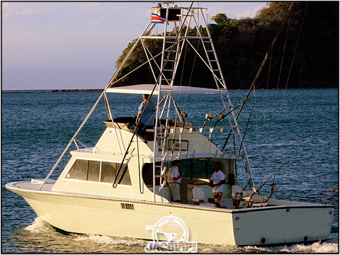 Picture of Shotgun Sportfishing Charter