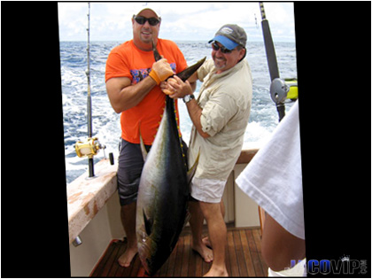 Two guys with large yellow fin tuna