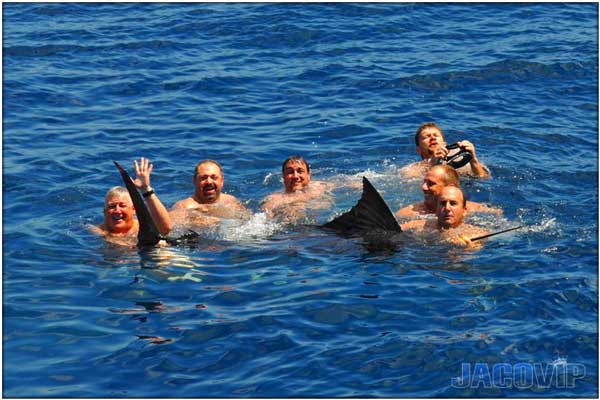 Group in the ocean with Marlin
