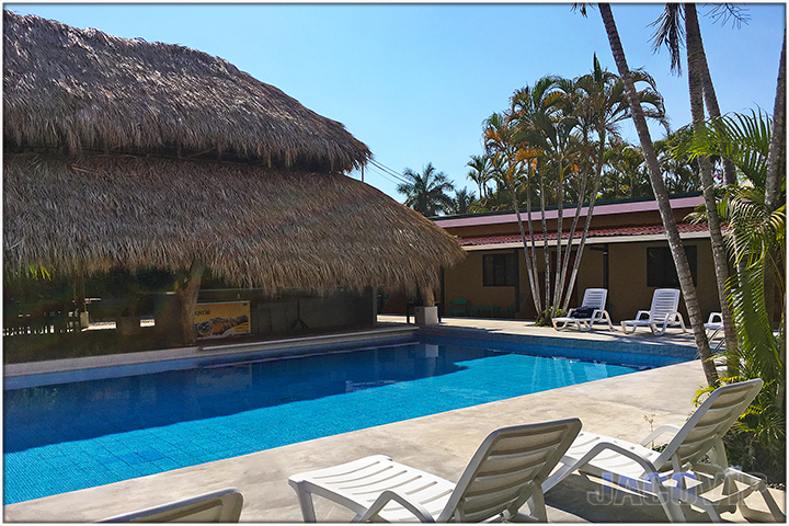 Lounge chairs and palm trees