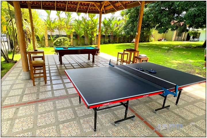 Aluminimum ping pong table outside nest to pool