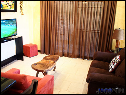 Living room area with sleeper sofa