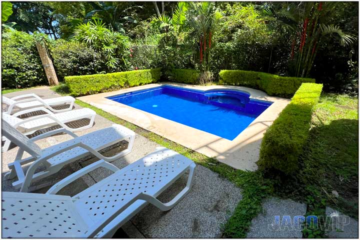 Pool and lounge chairs