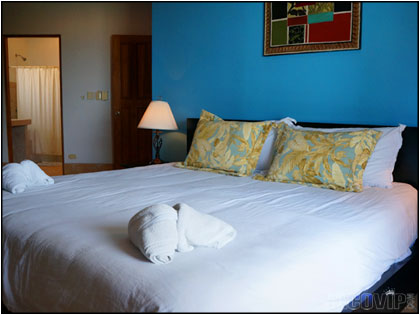 Master bedroom with king size bed