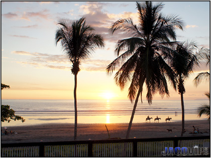 Horses on Jaco Beach at sunset