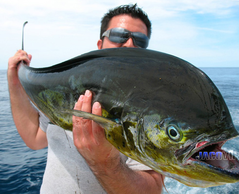 Jaco Vip Fishing Facts For Beach Los Sueños Marina Costa Rica
