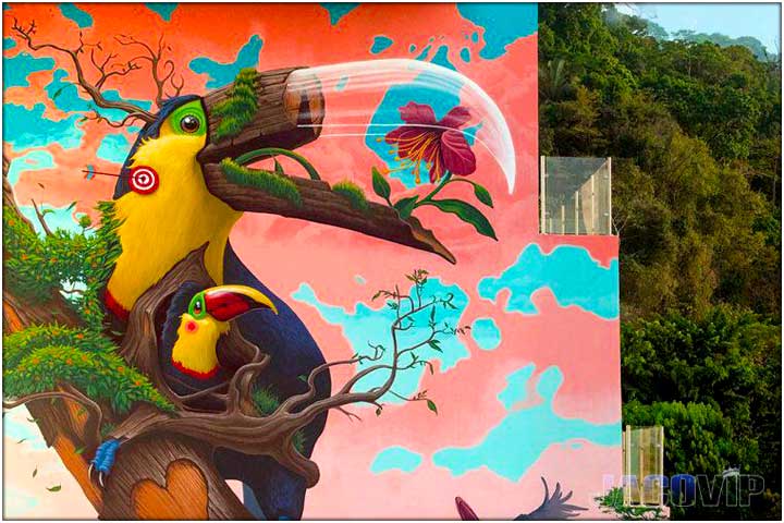 Large Tucan mural by Artfy Jaco