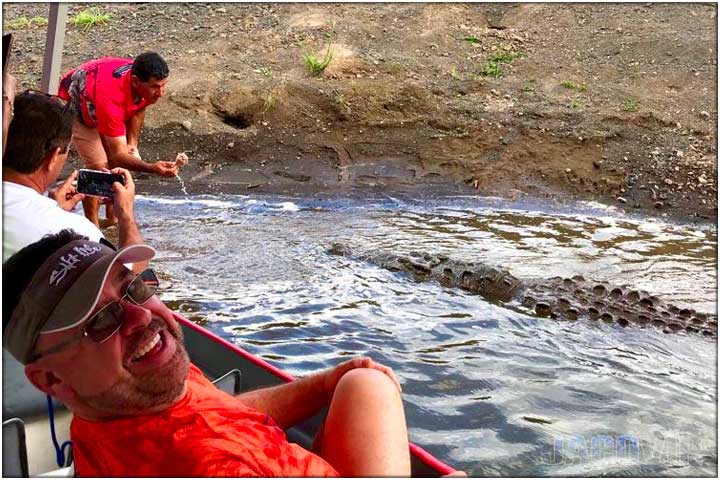 Crocodile river tour in tarcoles costa rica