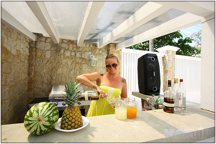Jaco VIP Bartender Service