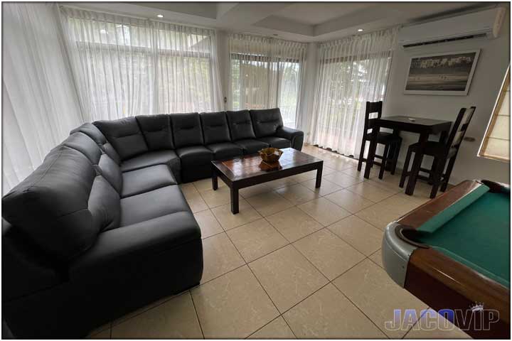 Living room with comfortable grey sofas