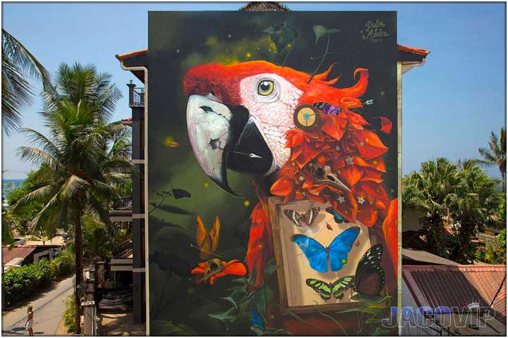 5 Storey Macaw mural on side of building