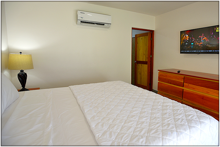 bedroom with tv