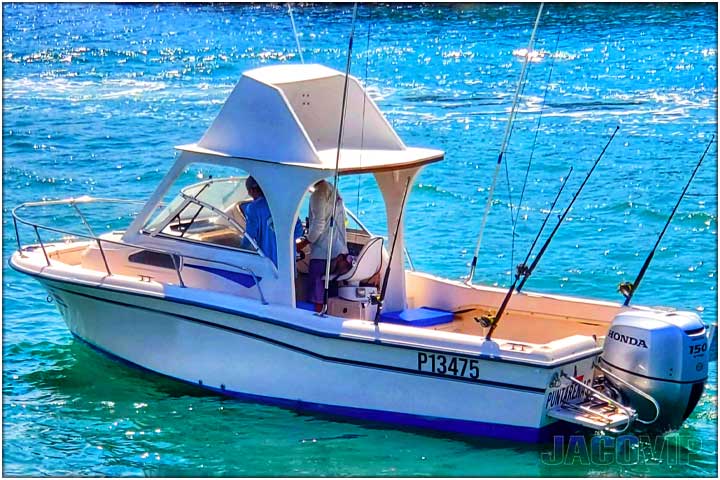 Rooster 5 Custom Panga Style Boat in Herradura