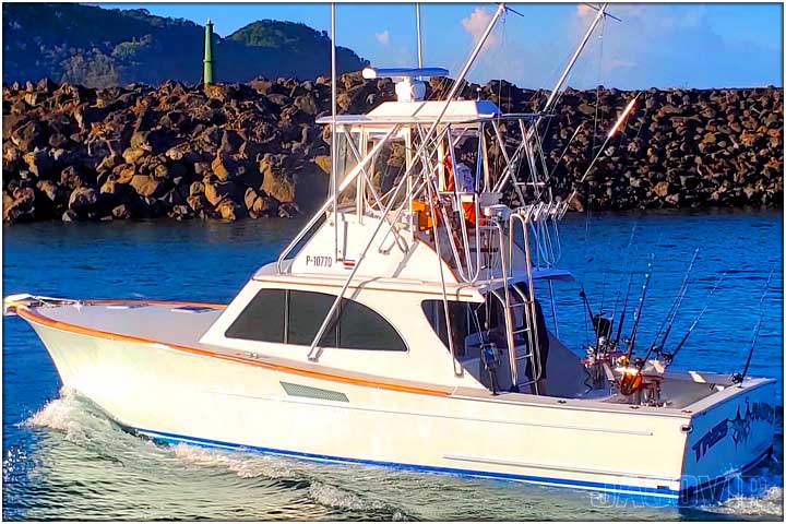 Offshore fishing in Costa Rica aboard a 38 D&A Custom Sportfish