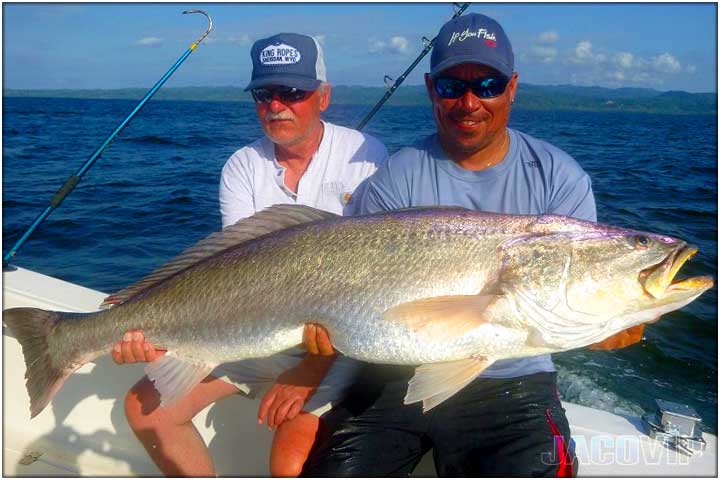 Large mahi mahi dorado off shore fishing near Jaco Beach Costa Rica