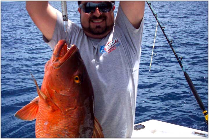 Large mahi mahi dorado off shore fishing near Jaco Beach Costa Rica