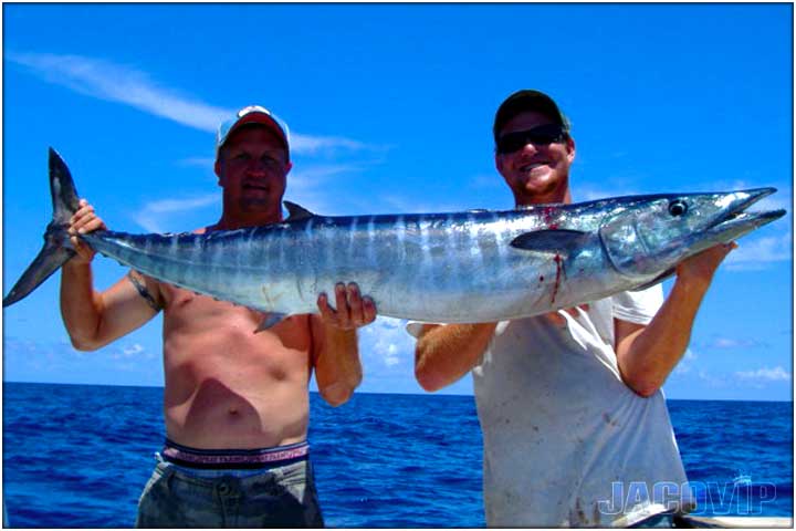 Large mahi mahi dorado off shore fishing near Jaco Beach Costa Rica