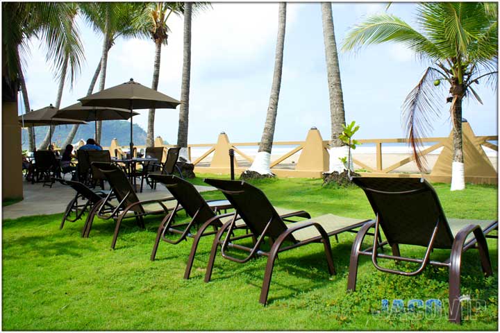 Beige and brown lounge chairs on green grass