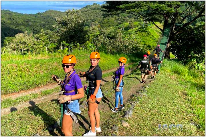 Concierges getting ready to cross hanging bridge to large tree