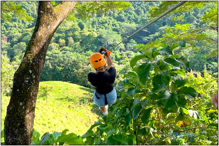 Girl on zip line heading into green area