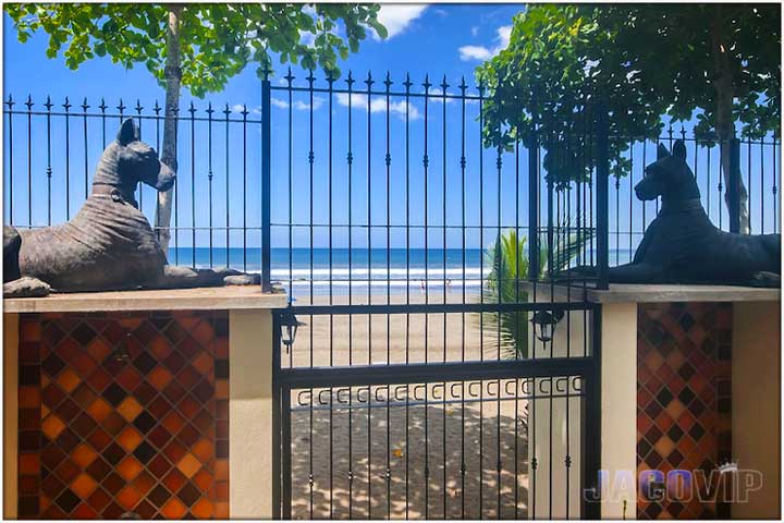 Beachfront gate with two statues of dogs guarding the entrance