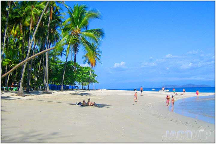 Whit esand beach with tall palm trees and blue ocean water